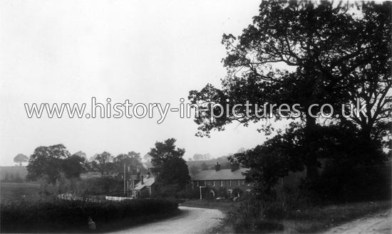 Barnston, Dunmow, Essex. c.1916